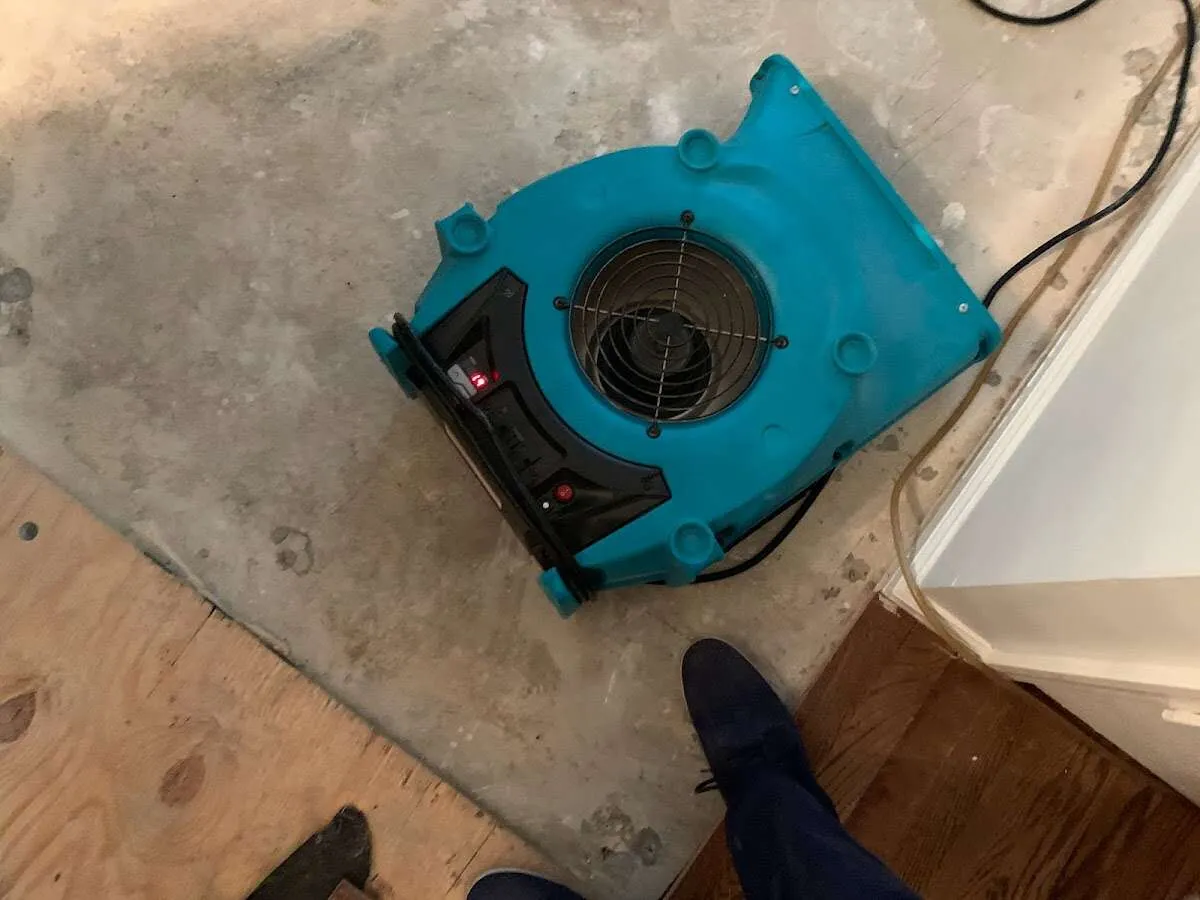 Air mover drying subfloor during Commercial Water Damage Restoration in Cresaptown